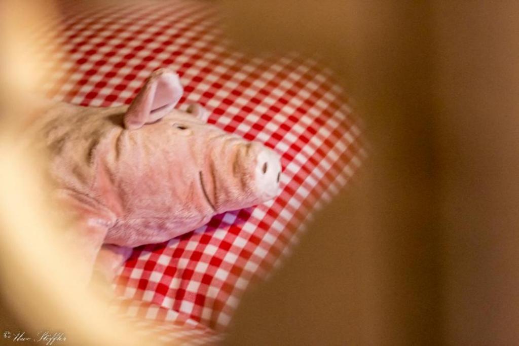 Ferienhaus Rote Sau Herrentierbach エクステリア 写真