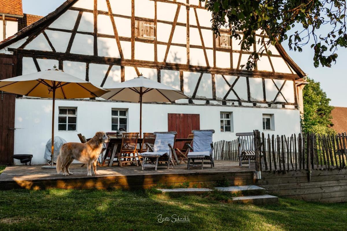 Ferienhaus Rote Sau Herrentierbach エクステリア 写真