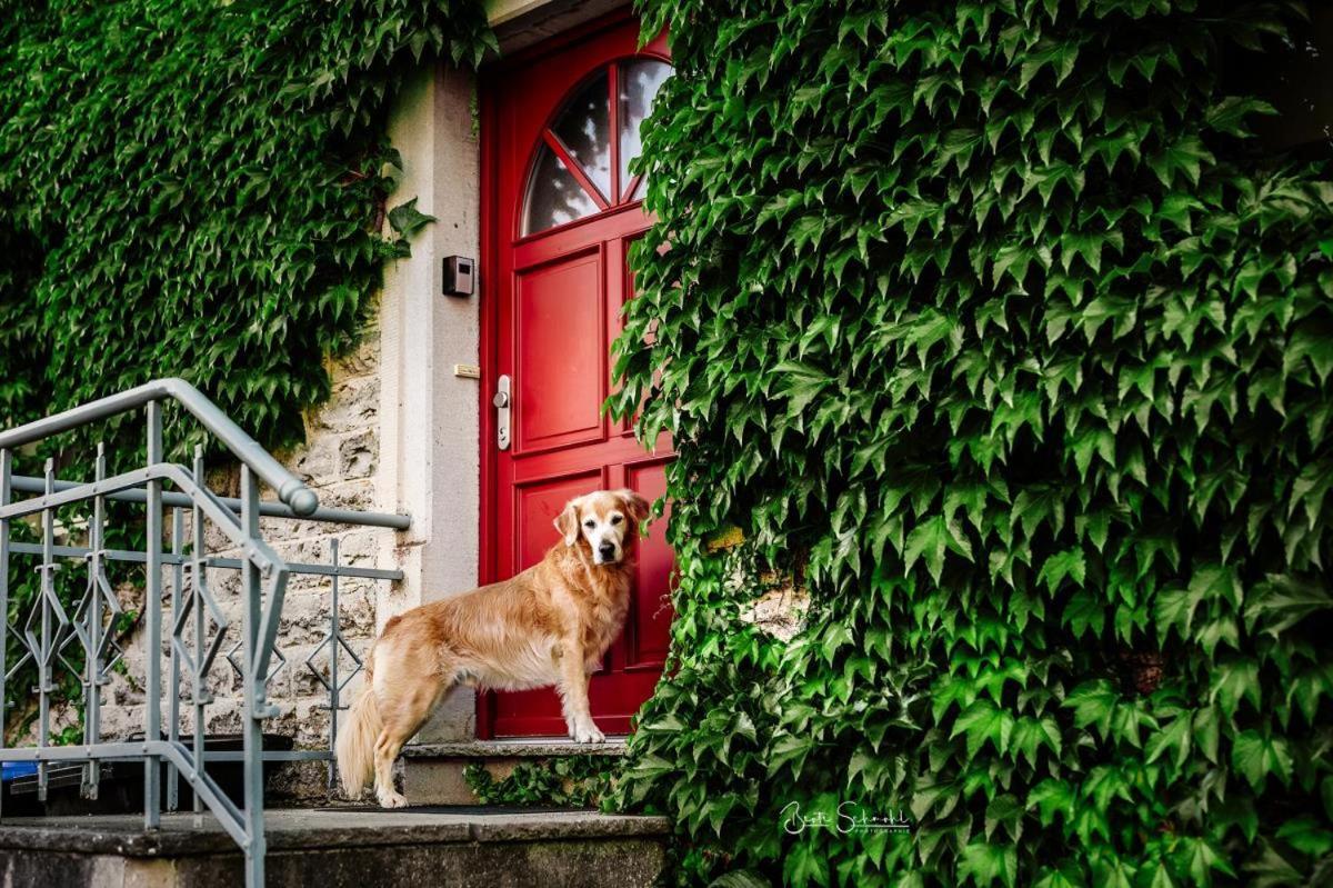 Ferienhaus Rote Sau Herrentierbach エクステリア 写真